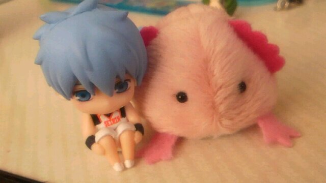 25↑ ジャンルいろいろ こちらは取引垢となります🐶
