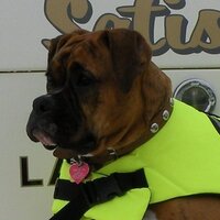 Renee Binkley (@reneebinkley) 's Twitter Profile
