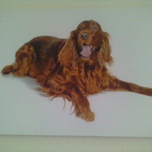 s40art's profile picture. 