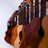 MusicFundMarche's profile image