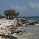 jacqueline st - @jacq2566 - Twitter