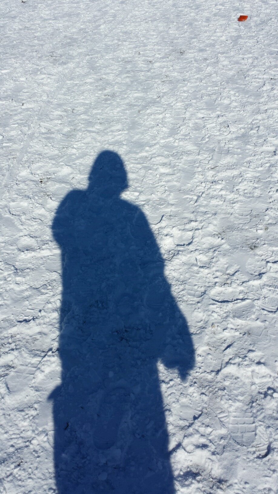 trektorome's profile picture. What shall I render to the Lord, for all the things he hath rendered unto me? https://t.co/AP81UYuCQ5 https://t.co/fn9bncYv6n