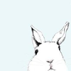 alicedek's profile picture. - working for 🚀and ✈️ - Chairwoman of ISO 56000