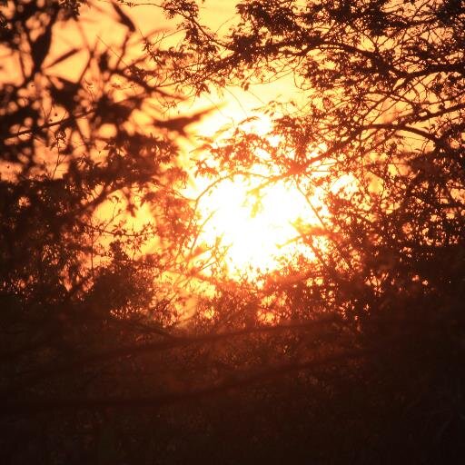 sharonkransp's profile picture. Solar Power, Photography, Accommodation Loskop area, window cleaning