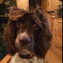 Barry crosbie - @crosbie501 - Twitter