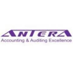 Accounting and Auditing Company