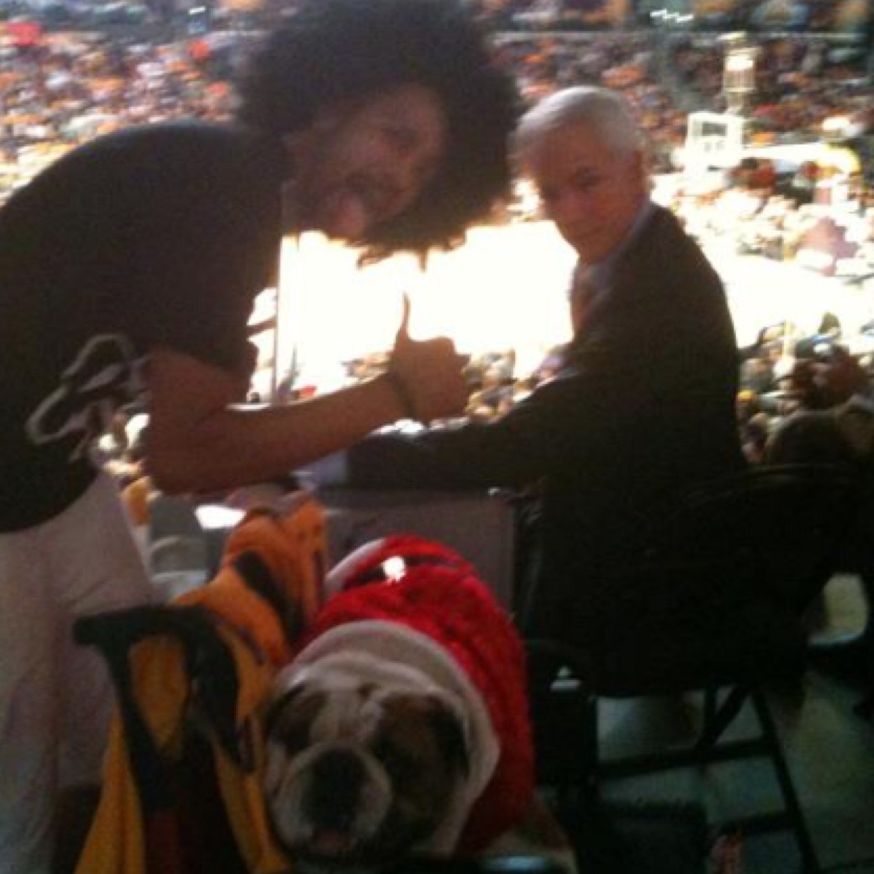 Love meeting people #lakersdog hip hop EDM always with my Pomeranian (MarleyBob) or WORLD FAMOUS UNOFFICIAL Lakers Mascot (George Raza) #Ravepup