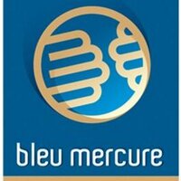 bleu mercure (@bleumercure) 's Twitter Profile