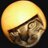 ricopenteadof1's profile image