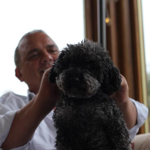 Hello, I am a Toodle and I bark a lot at people :-)