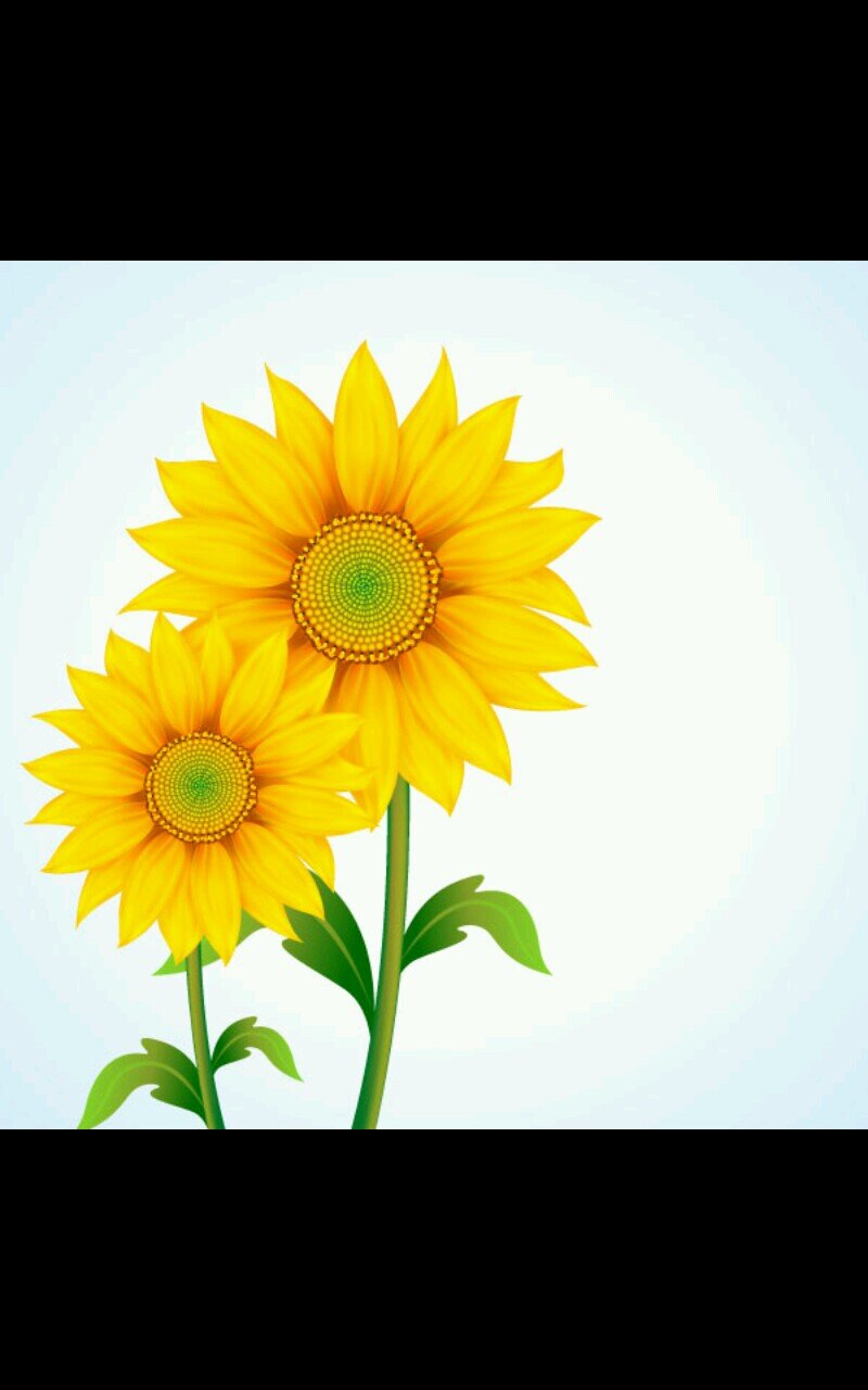 ‏‏‏‏علماني اولا .. عروبي ثانيا .. قَبَلي ثالثا ..
مسلم بوجه عام .. متشيع على وجه التحديد .