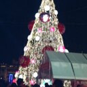 Rosa Isela Campos M. - @iselanovember - Twitter