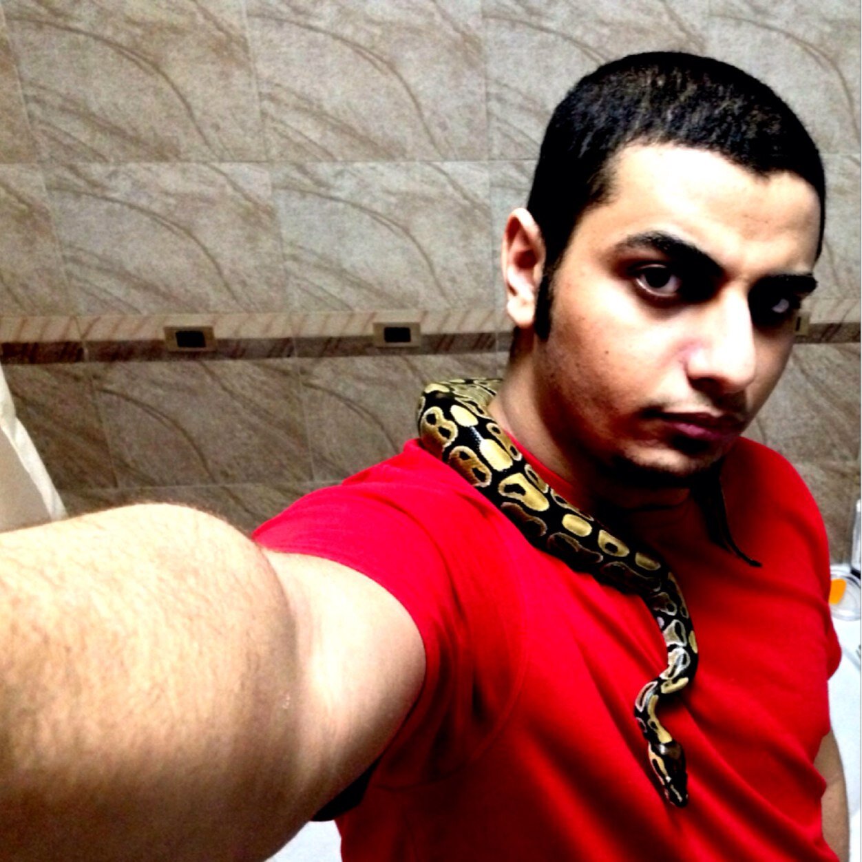 Snake & animal lover, metalhead, guitarist.