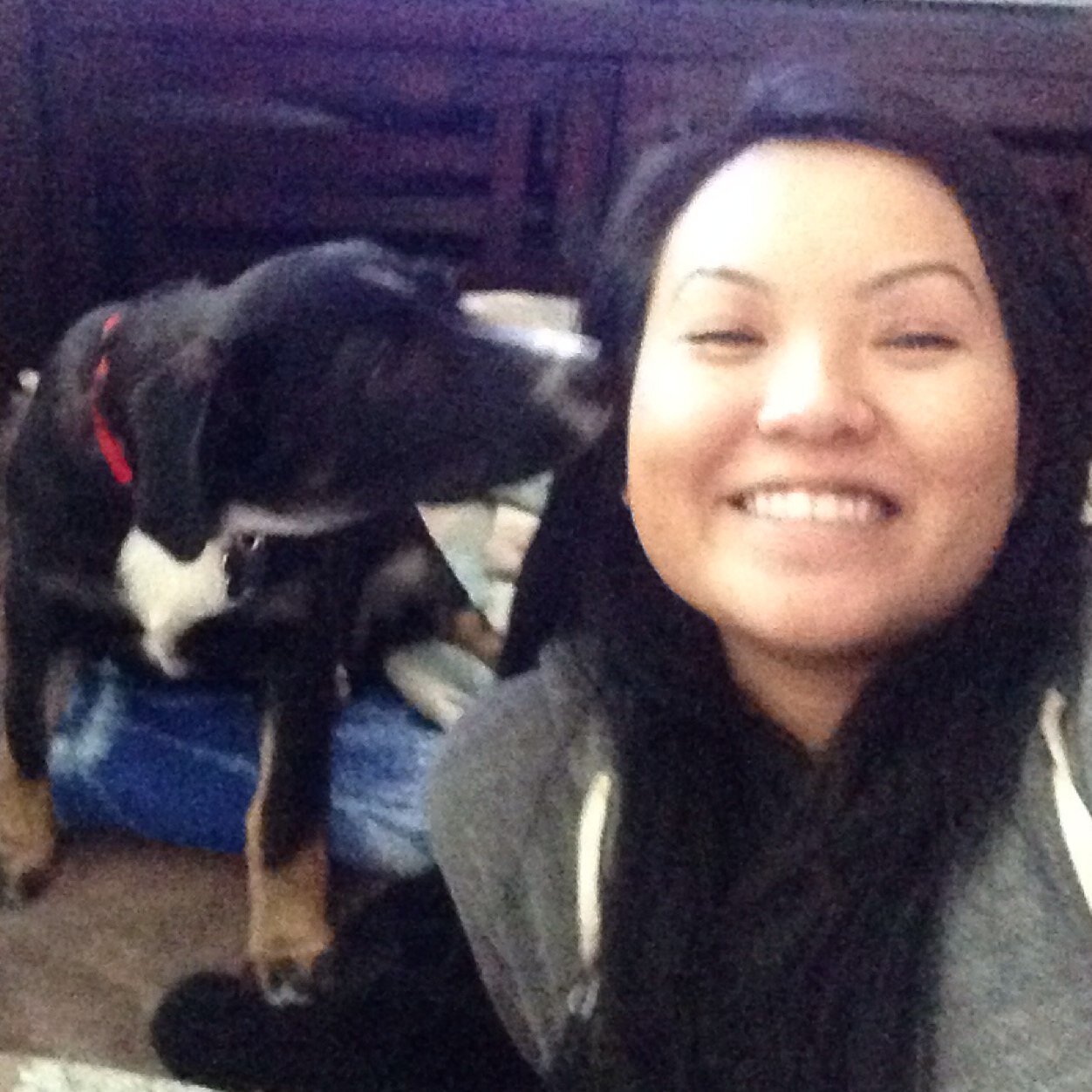 laurynlau's profile picture. 