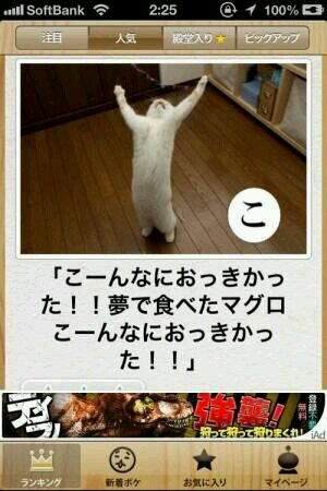 高校生です(●´ω｀●)                                                                 フォロバ100％