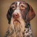 oliverbrann (@oliverbrann) Twitter profile photo