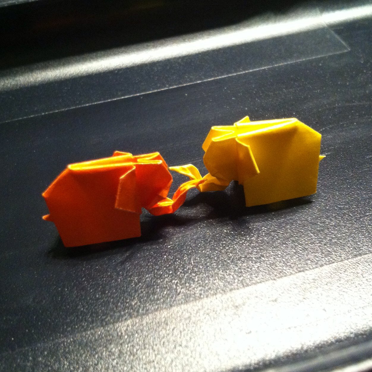 sammiseah's profile picture. She/her