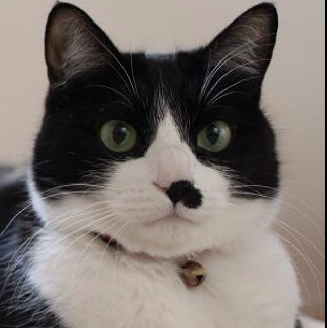 百家乐棋牌世界杯开云体育(@dodedodemix) / Posts / X