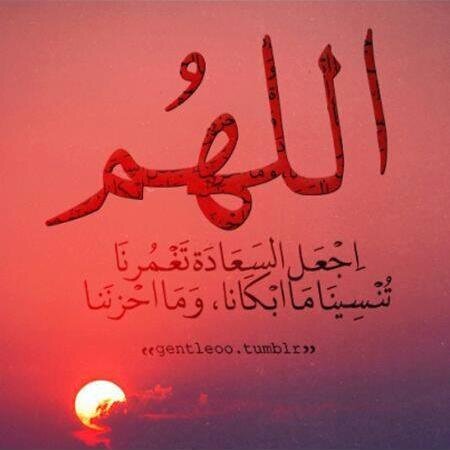 طالب علوم الحاسوب، آحب التدوين ،آعشق روآيات الحب...والثقافه