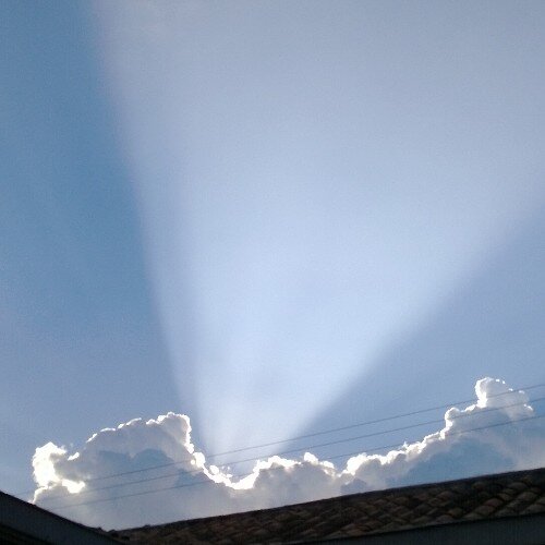 vhalvarezg's profile picture. 