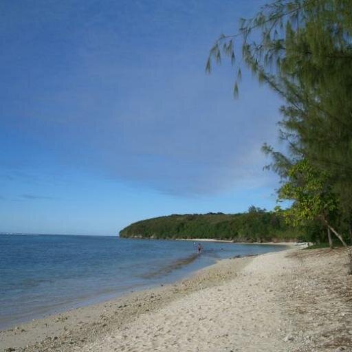 coocky_tk's profile picture. 一番の興味はオーディオ。次いでパソコン、政治。他に歴史、地形地質