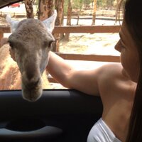 Laura Delgado (@laudelmat) 's Twitter Profile