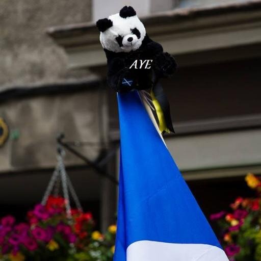 2014ScotsRally's profile picture. 