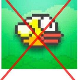 Flappyibne Profile Picture