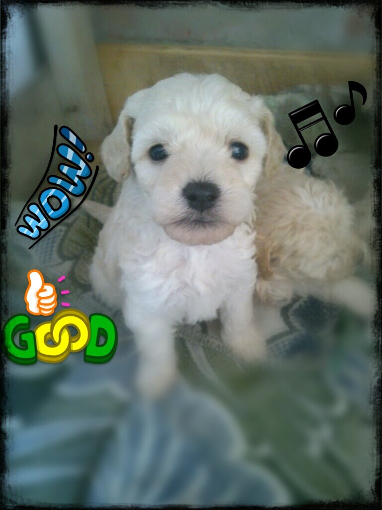 Davidsebs's profile picture. l love you @-}-- pin: 7925645A