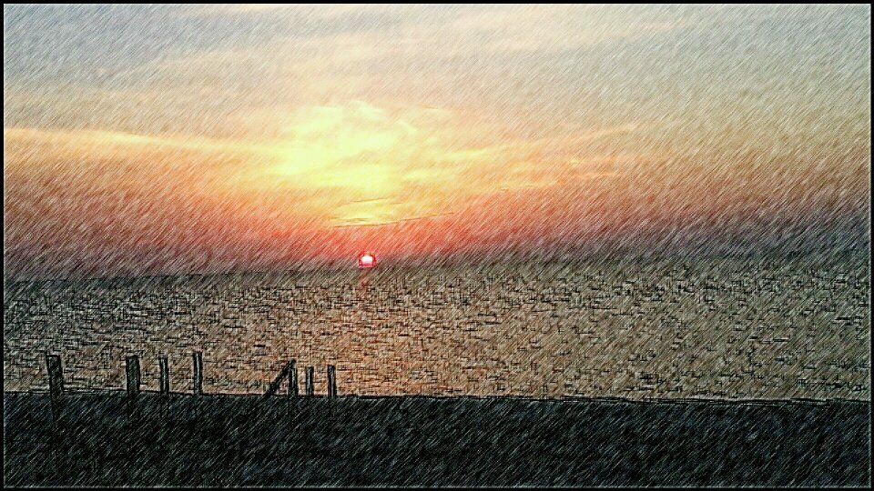 tolur33's profile picture. 