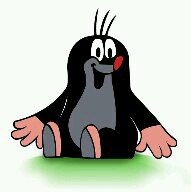 AnkieHeuts's profile picture. 