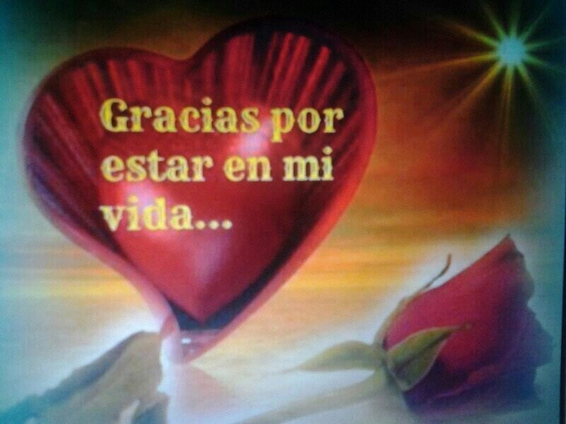 Rosau1984's profile picture. 