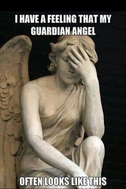 diakayali's profile picture. 