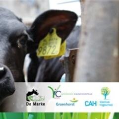 DairyTriangle's profile picture. Dairy Triangle:samenwerking tussen Aeres praktijkcentrum Dronten, VIC zegveld en KTC de Marke