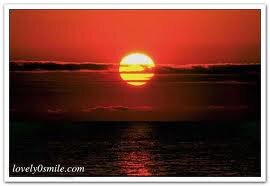 hikmat1282's profile picture. اعمل فى فن الديكور وهران