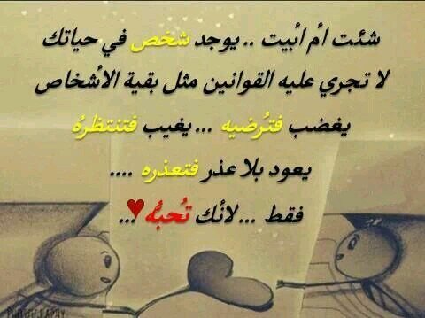 kamalmhm81's profile picture. 