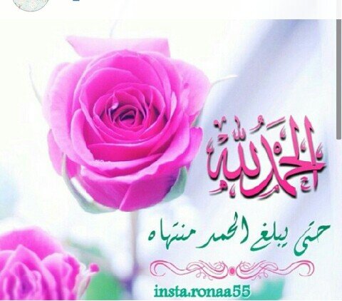 mohammed_saif_taher