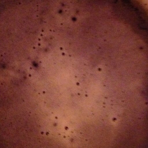 ReviewsBeer's profile picture. Beer Reviews.