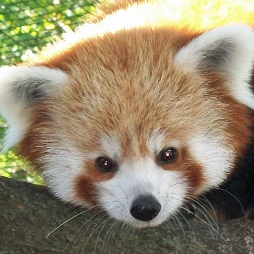 Travel blogger with a slightly unhealthy obsession for cute animals. I love finding out about strange places in the world. http://t.co/EEHkXW9ab0