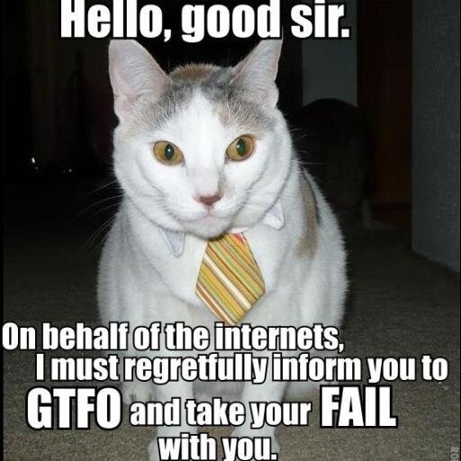 Moaning cat. Grumpy young man. And a moaner.