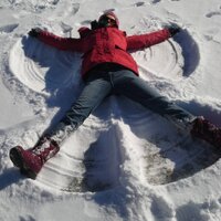 Helen Seifert (@seiferthelen) 's Twitter Profile