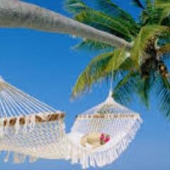 SouthSplash's profile picture. 