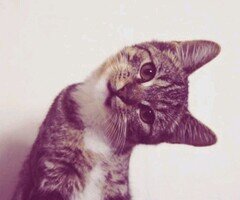 Someday ;!