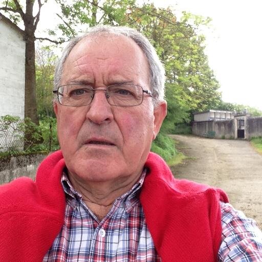 luismarimm's profile picture. 