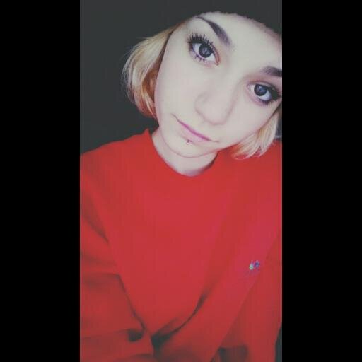 steipanc's profile picture. www