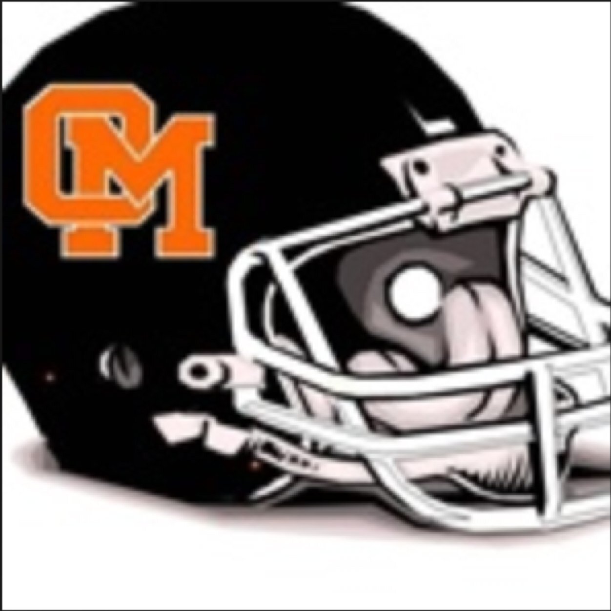 Oakland Mills High School is located in Columbia(MD) Competes in Howard Co Division, MPSSAA 2A