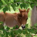 Robert Hayden - @RobertHayden1 - Twitter