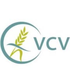 VCVglutenvrij's profile picture. 