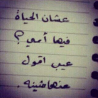 Nosh_Meiso's profile picture. 