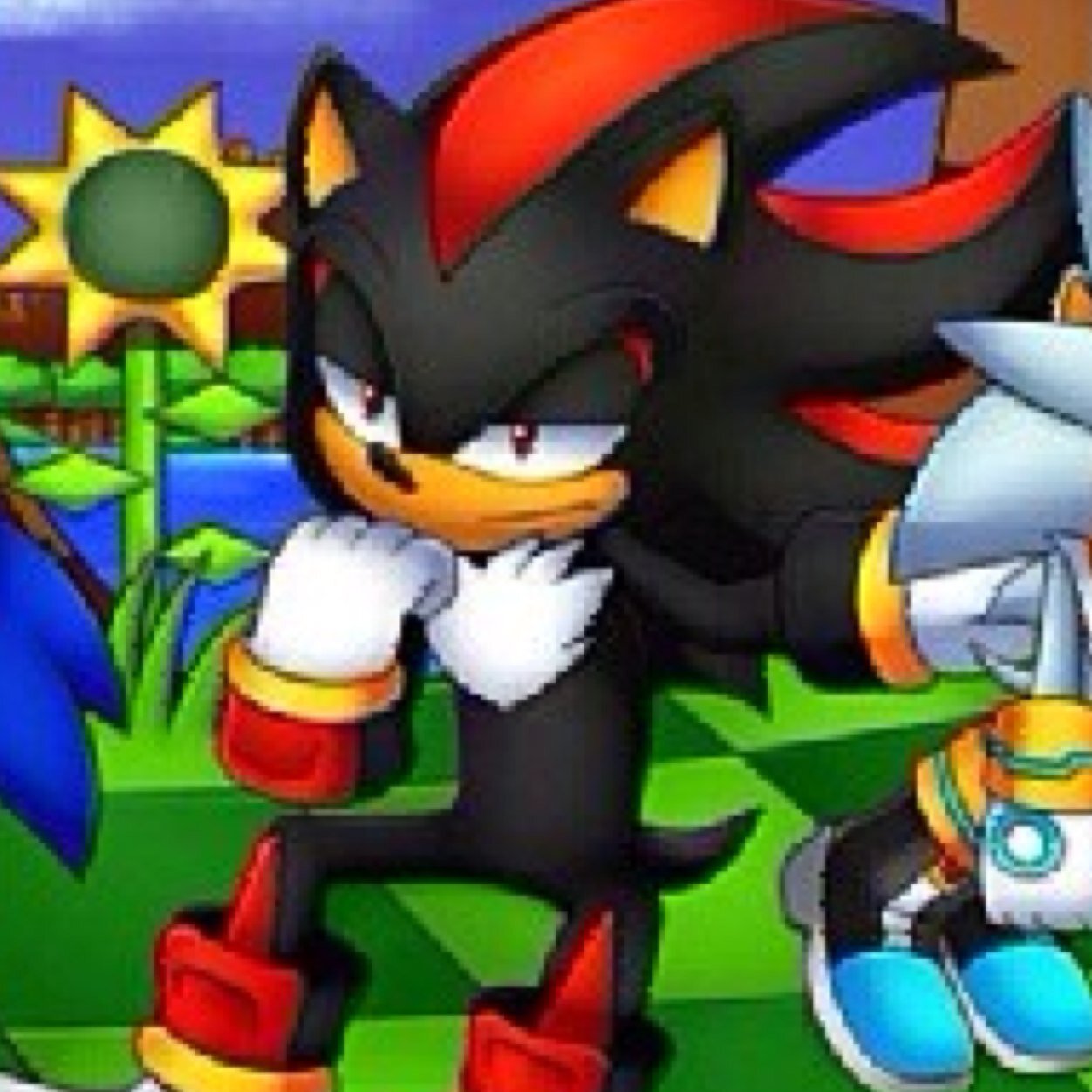 Im ultimate life form shadow the hedgehog im bad ass and im get money